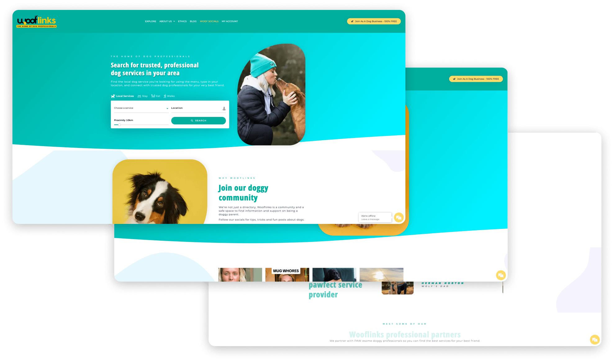 Wooflinks - Canine Care Directory Website Transformation
